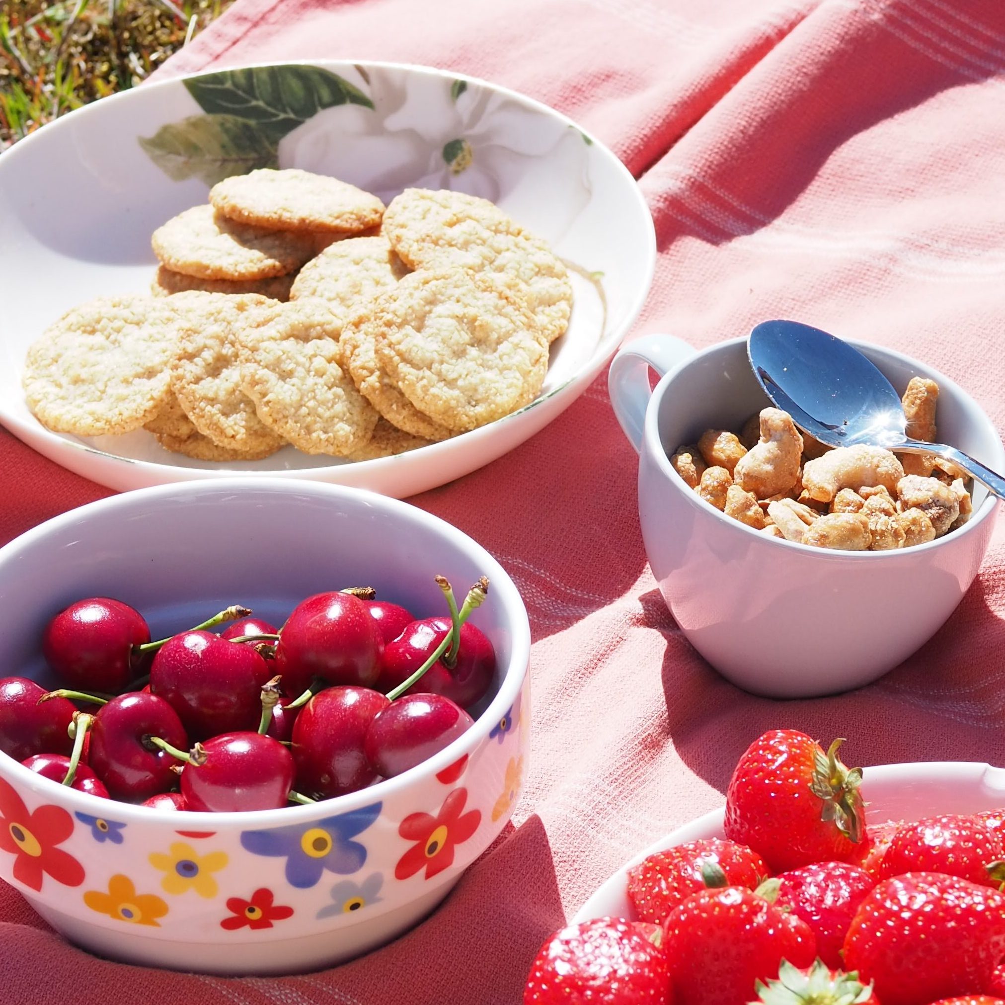 Piknik: mansikoita, kirsikoita, pähkinöitä ja keksejä